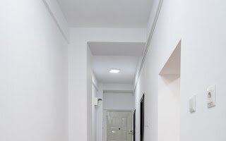 Cismigiu, Popa Tatu,