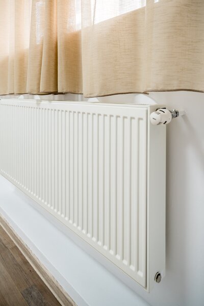 Cismigiu, Popa Tatu,